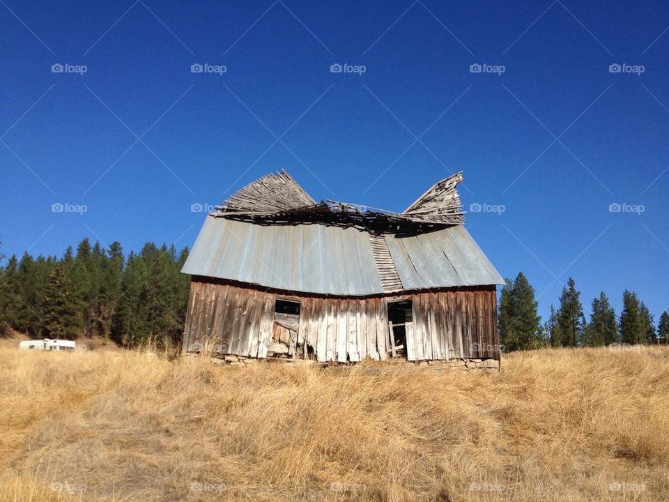 Old Barn with Face?