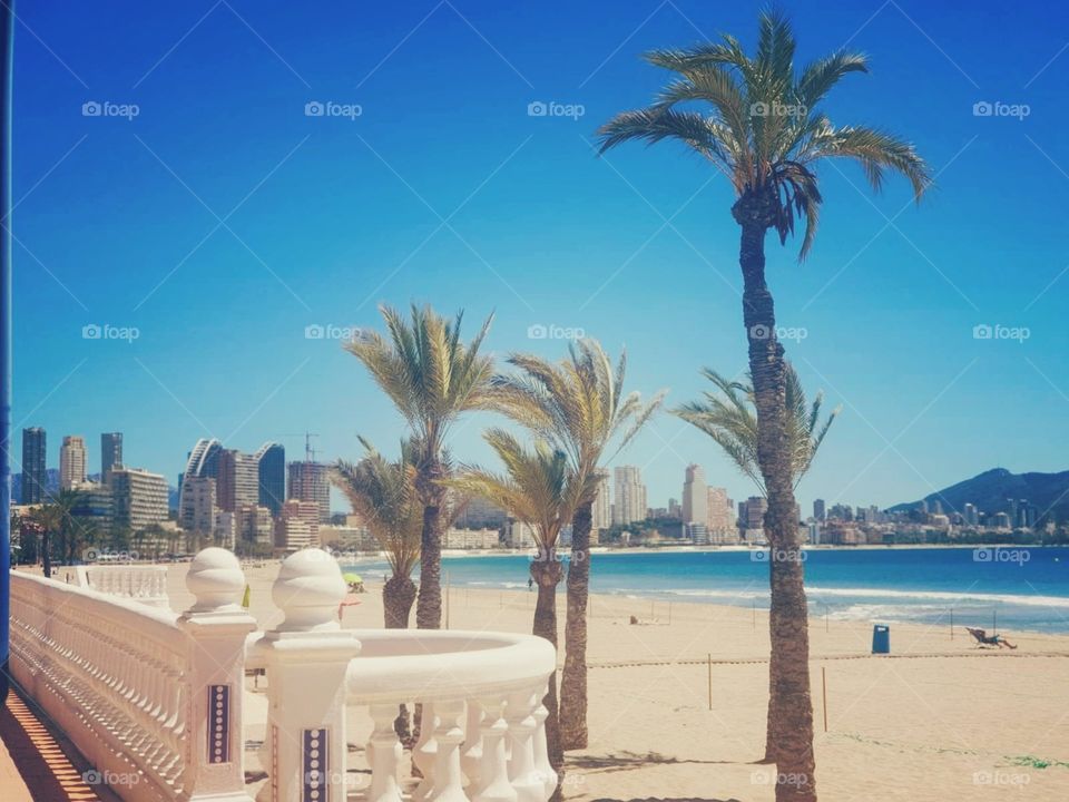 Beach#sea#city#buildings#palms#view#sand