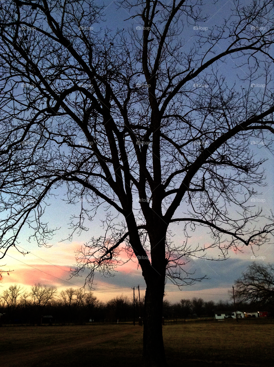 Dusk in the country.
