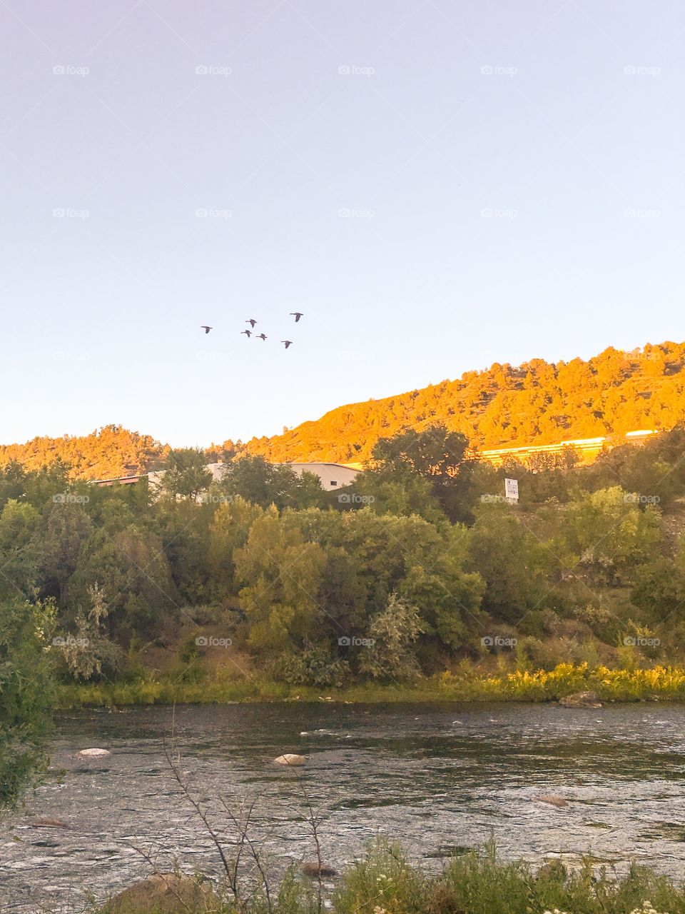 Sun on mountains, riverview 