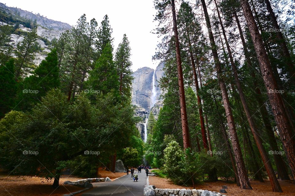 Captivating views of waterfalls in spectacular Yosemite national day 