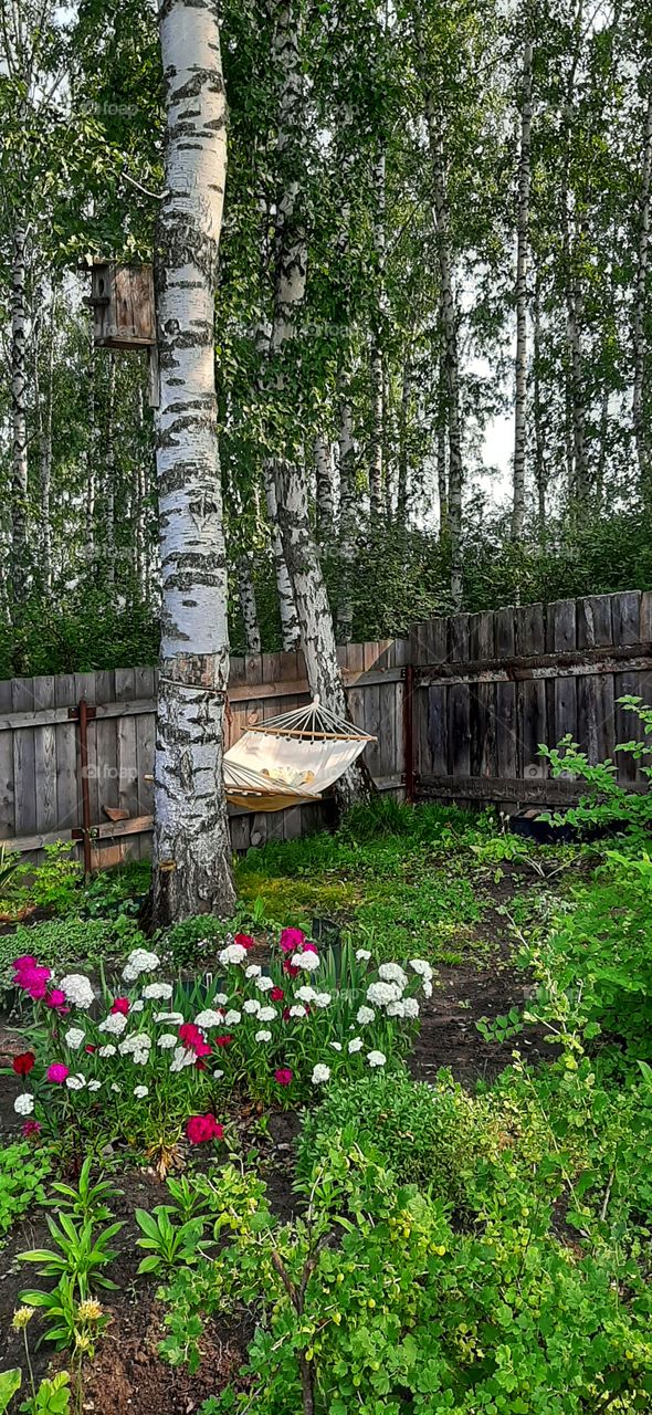 гамак между двух берез