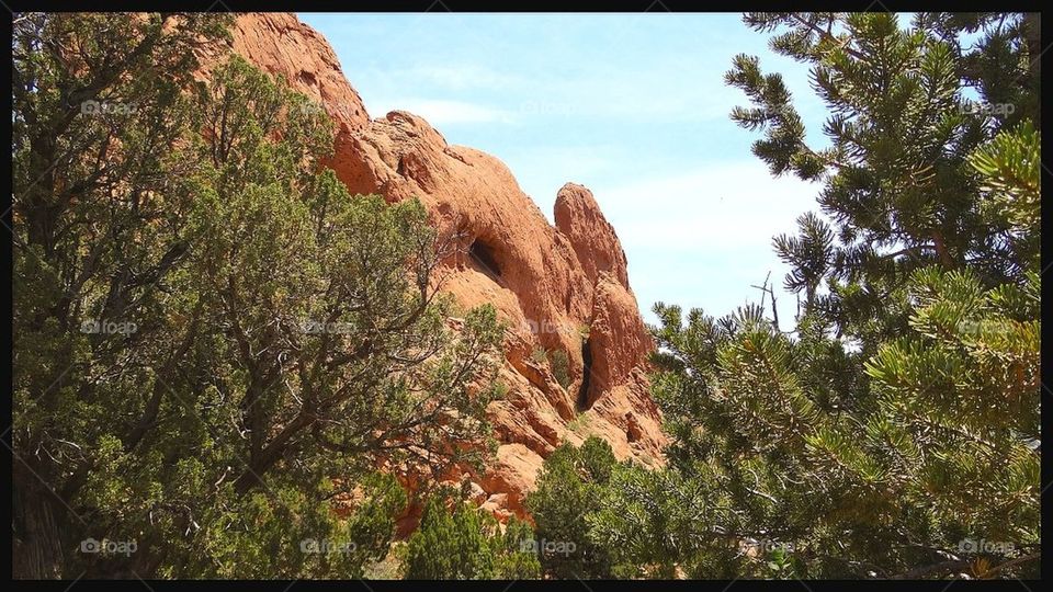 Garden of the gods