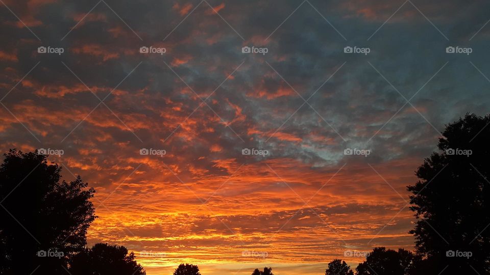 Tangerine Sunset