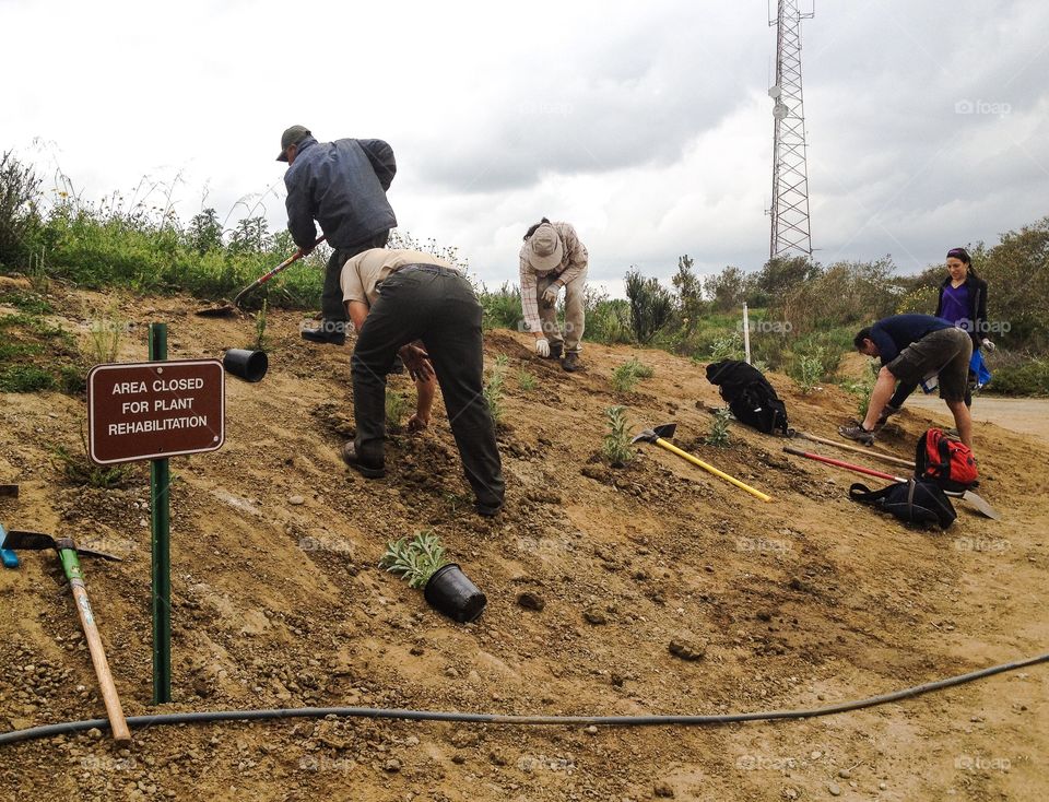 California parks volunteers 