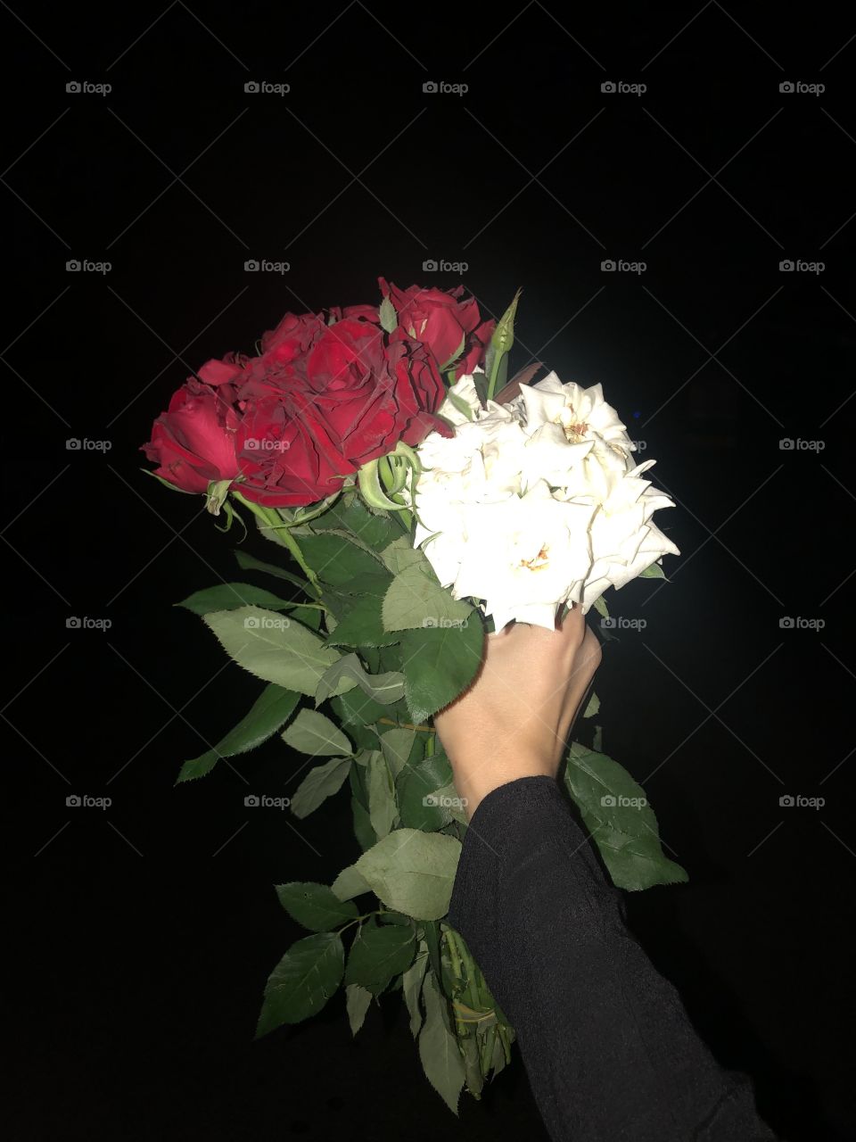 Valentine’s Day roses 