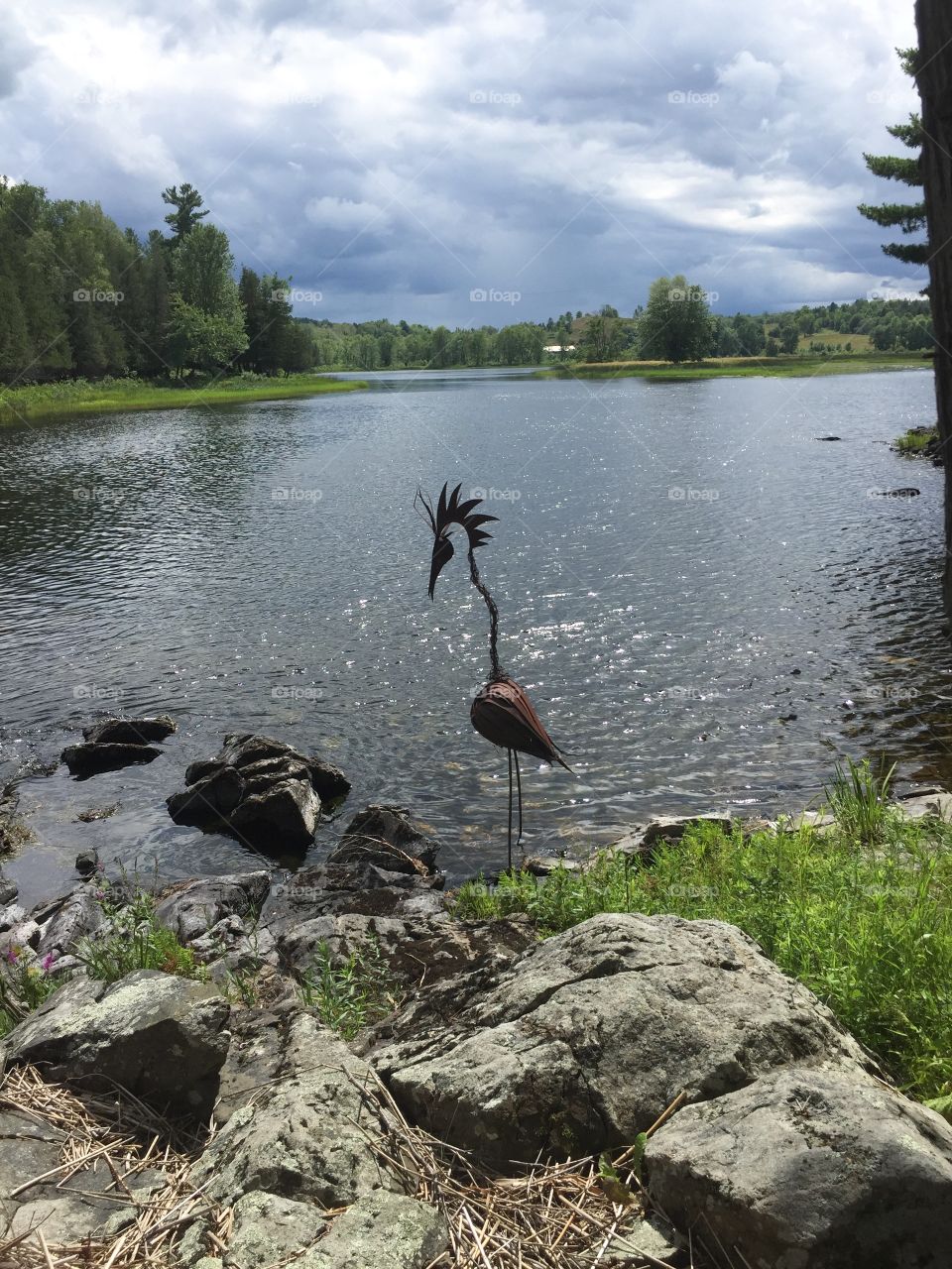 Artsy bird by the river