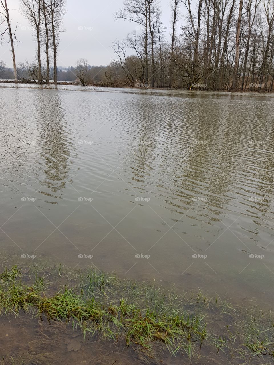 Donau bei Sigmaringen mit Überschwemmungen