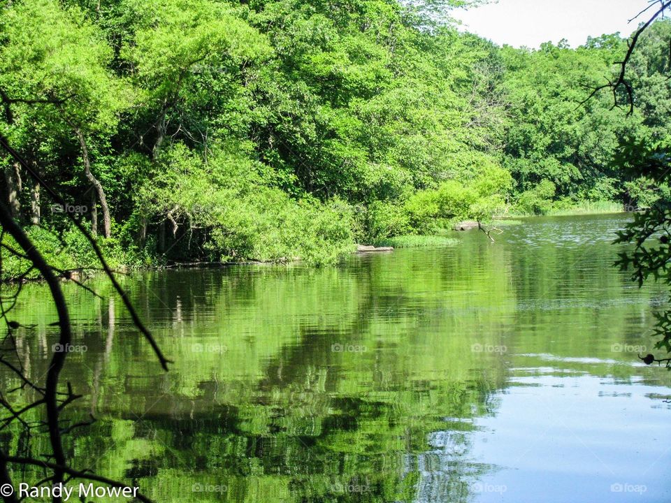 Gifford Pinchot state park