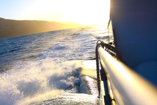 Gold. Catalina island sunset 