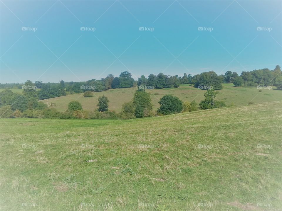 Fields in Hertfordshire , 2018