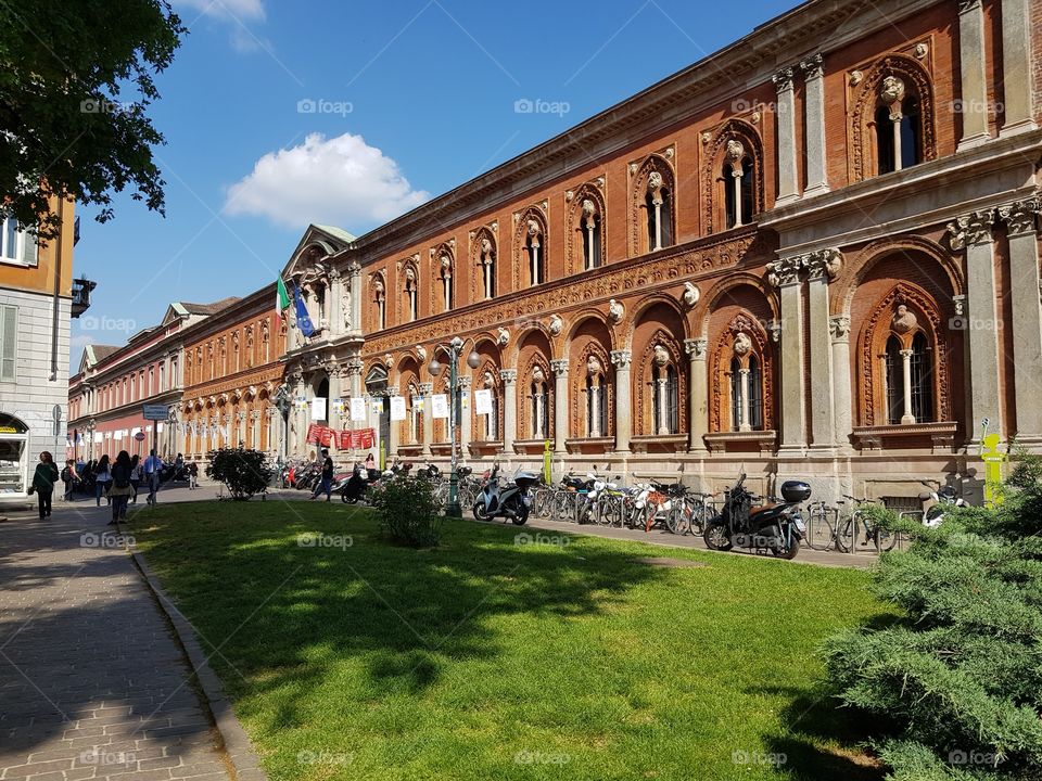 University of Milan - Milano, Lombardy, Italy.