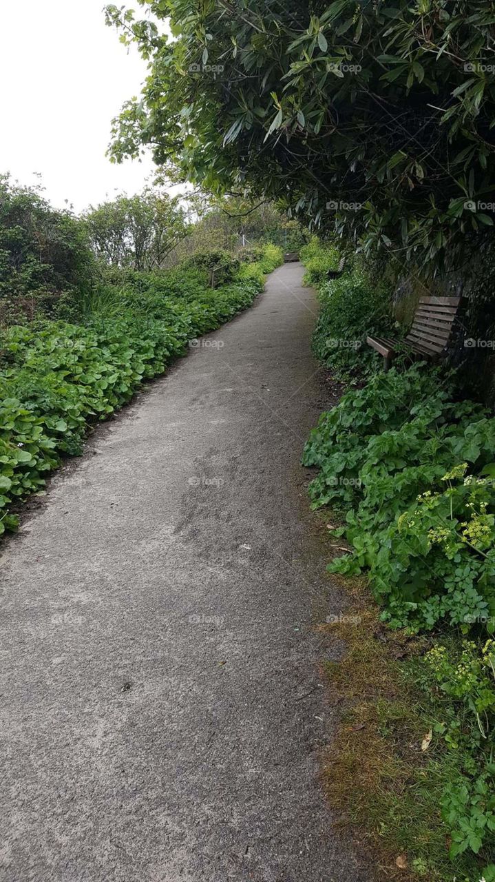 St. Ives, Cornwall, England