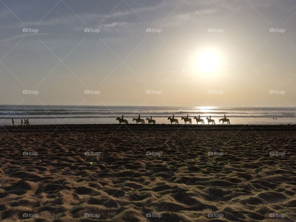 Balade à cheval au coucher de soleil