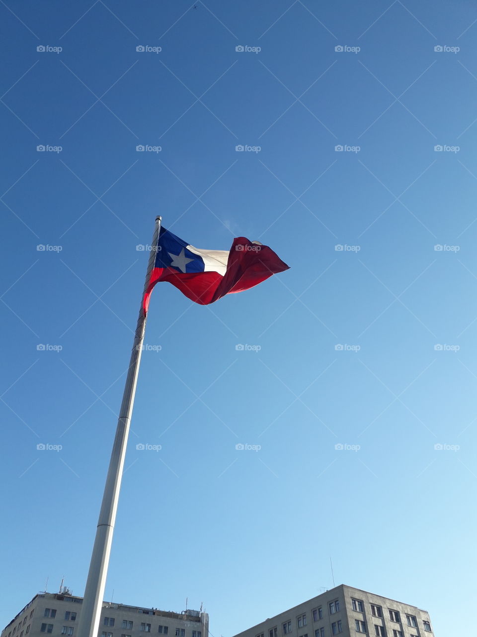 bandera chilena