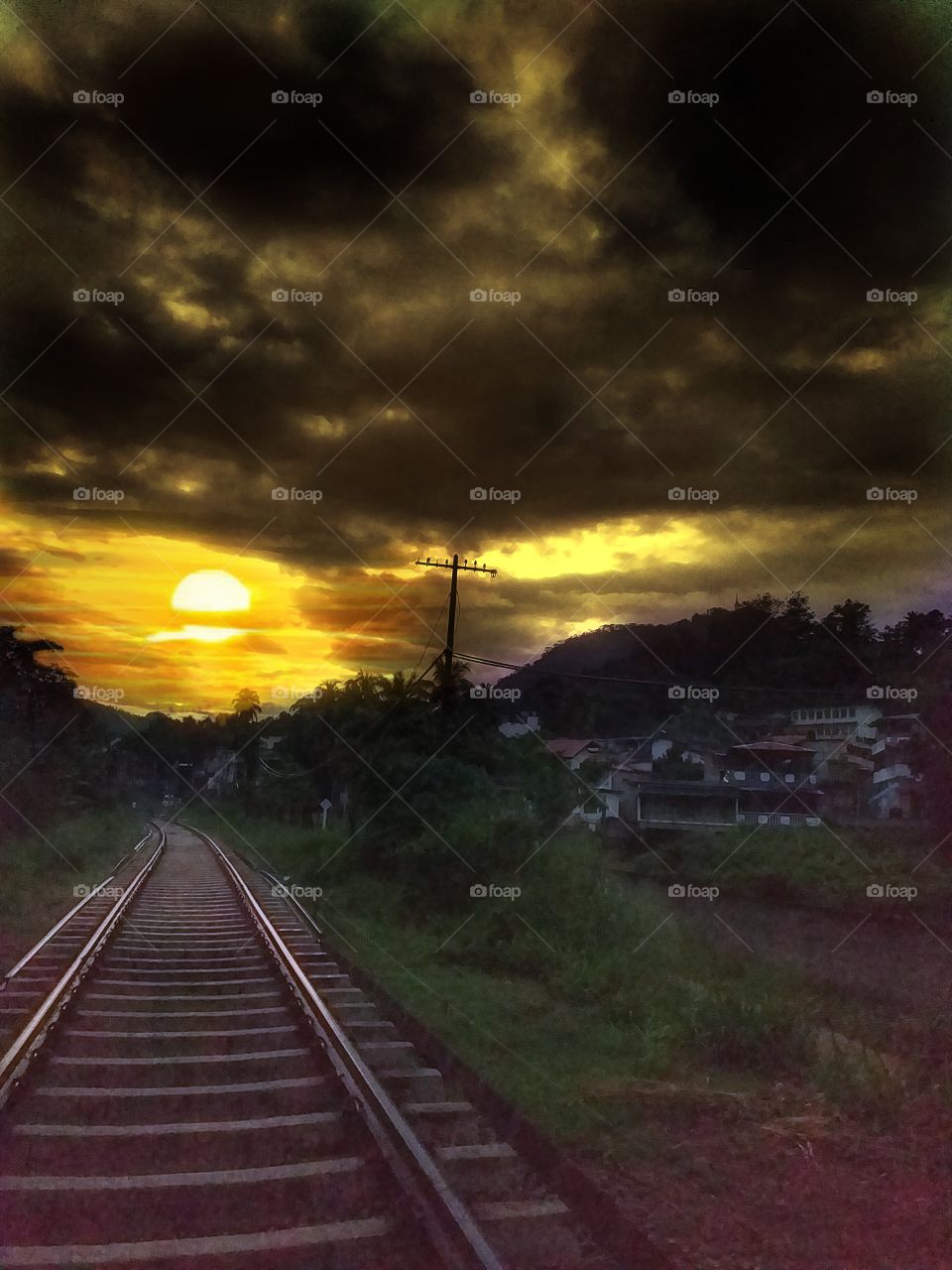 amazing railway track with natural environment