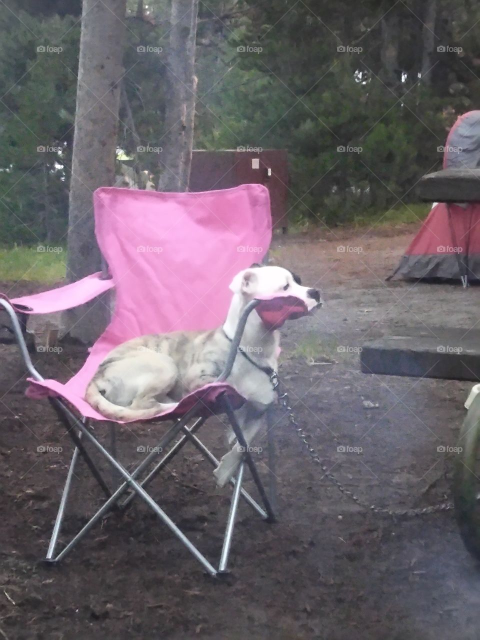 Relaxing at the camp site