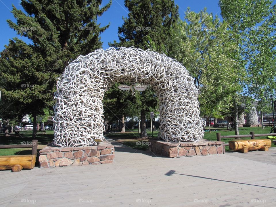 Elk horn arch in Jackson Wyoming 