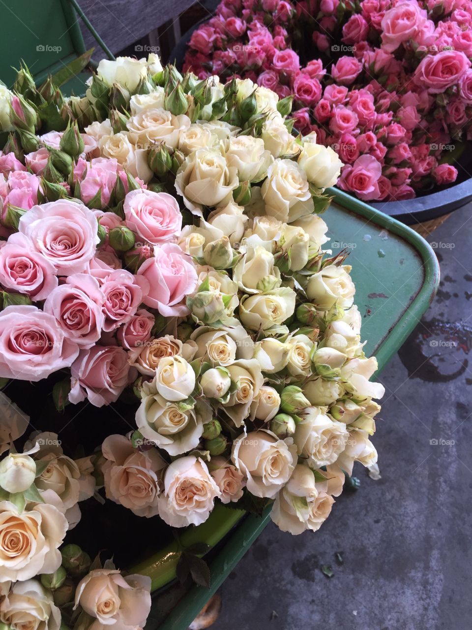 Bunches of rose and white roses