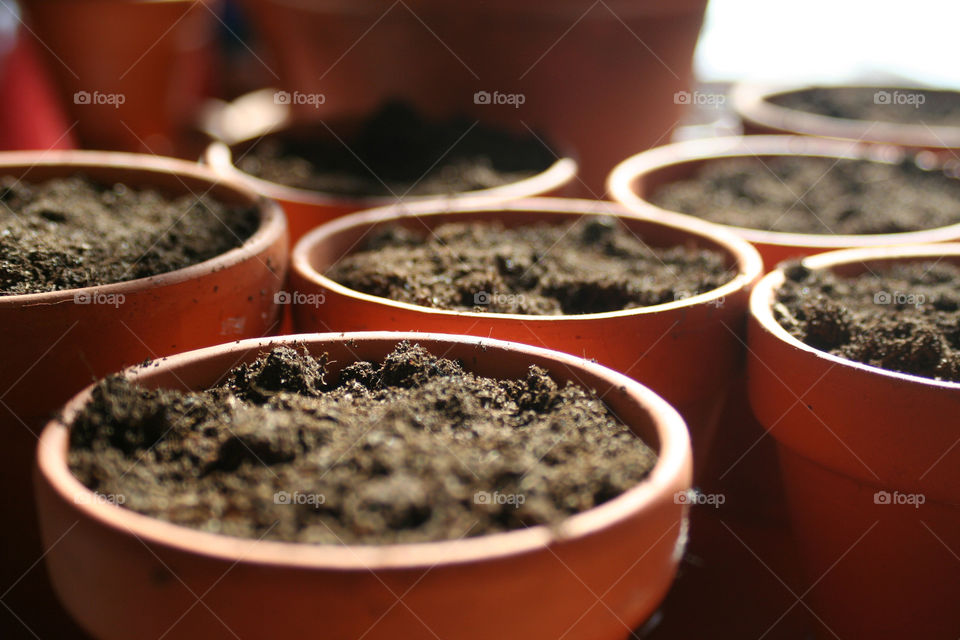 Terracotta pots ready for seedlings 