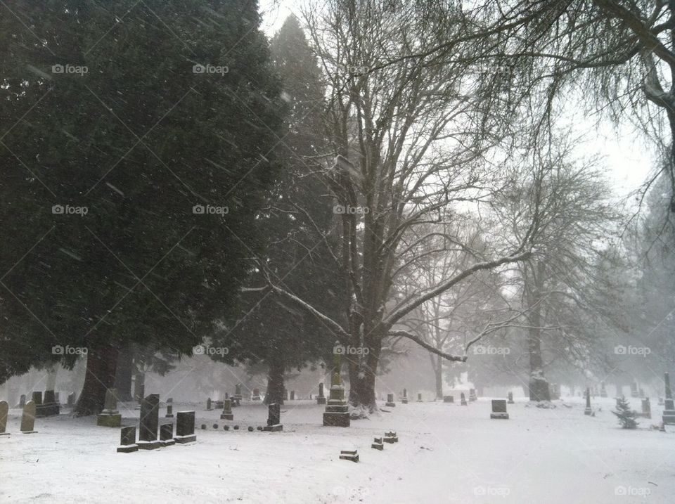 Cemetery in snow
