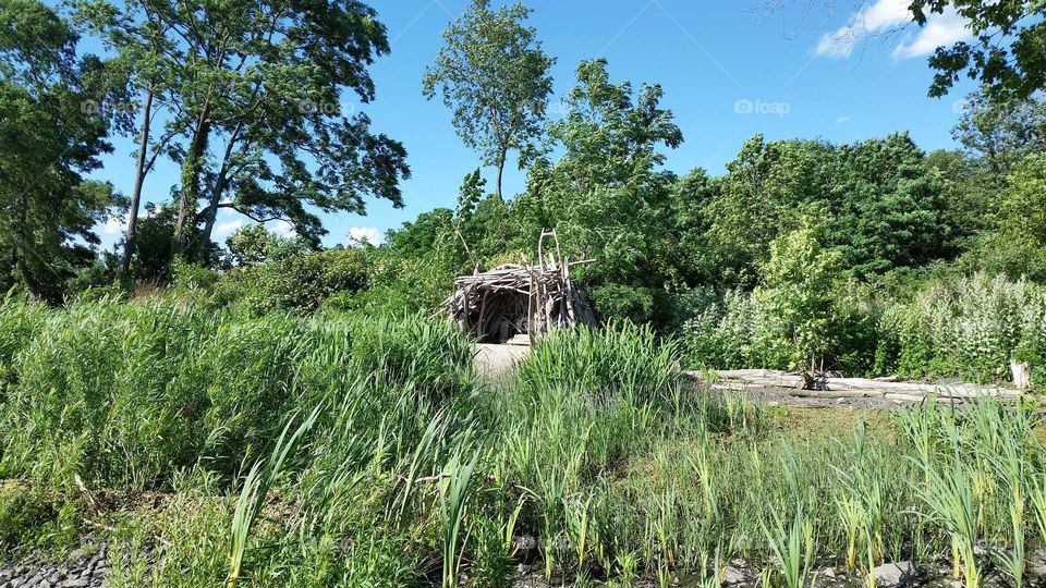 driftwood dwelling