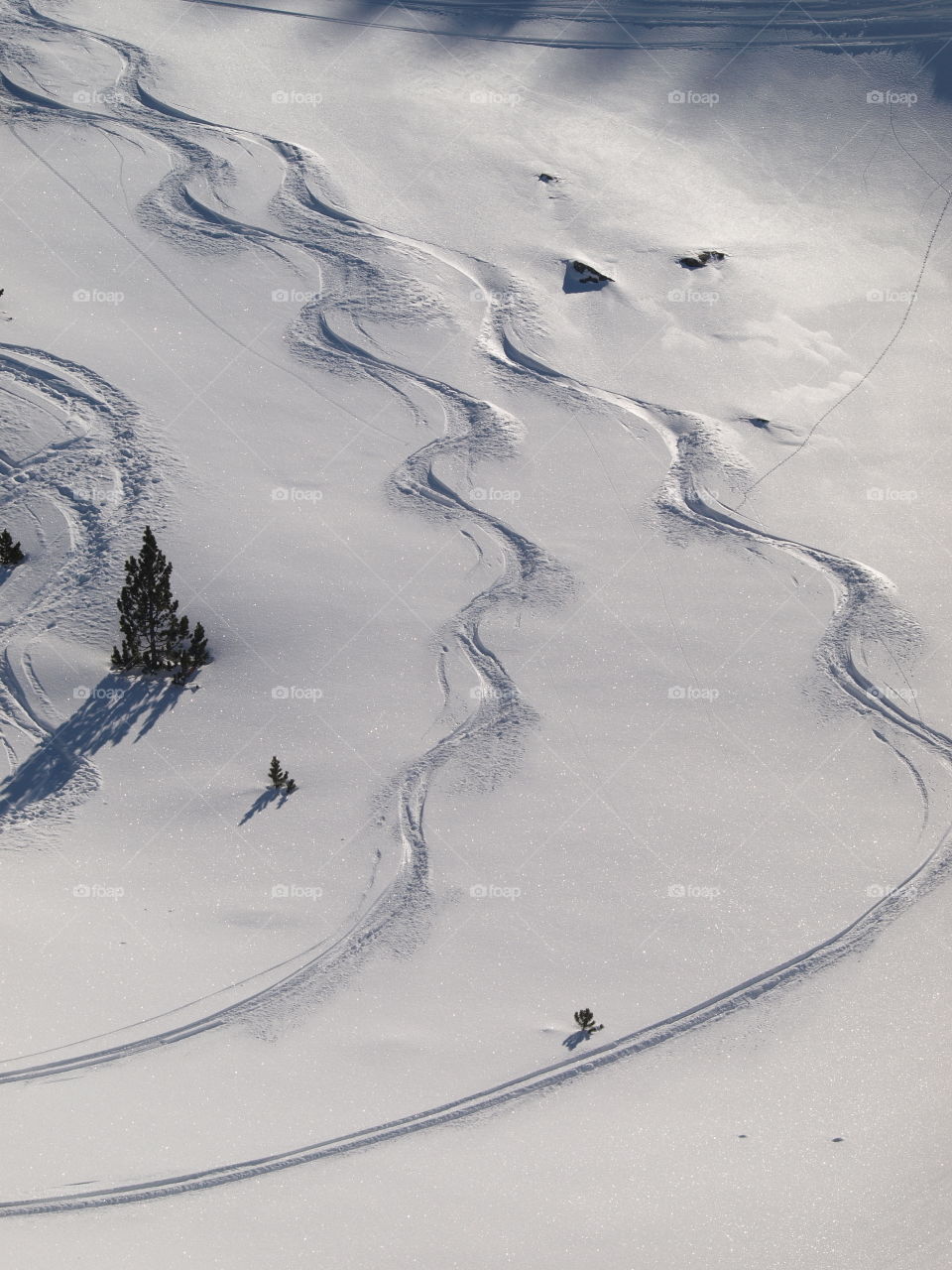 Sunny day at the snowy mountains 