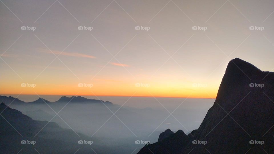 Nature does not hurry, yet everything is accomplished."