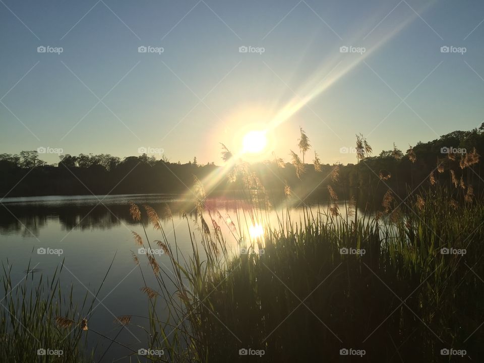 Sunset, Dawn, Water, Sun, Lake