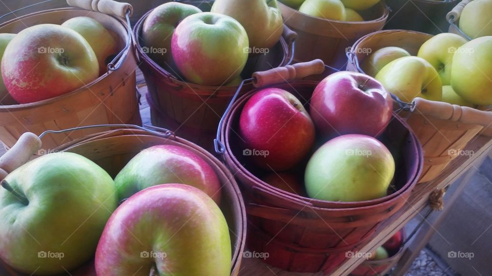 apple orchard