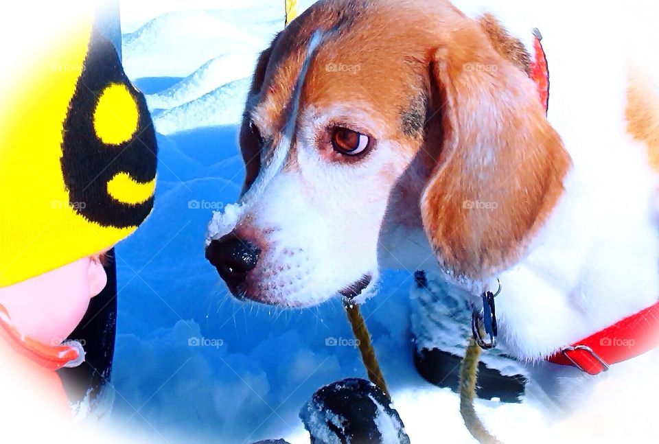 I will always be there to protect you 