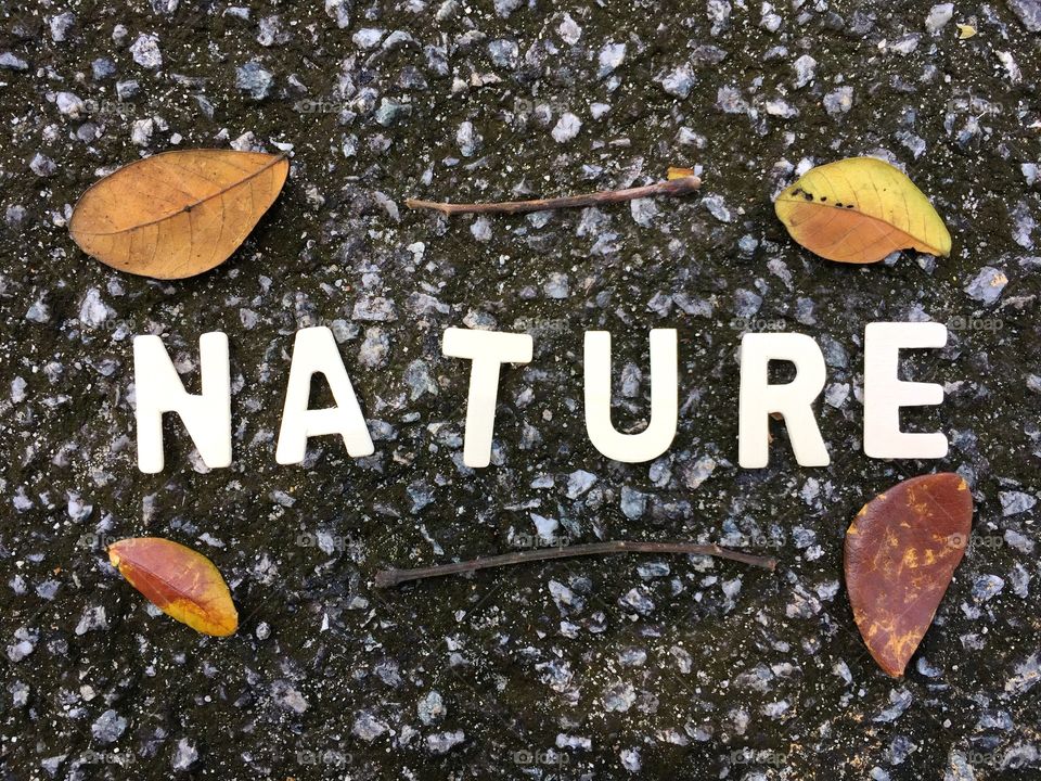 Nature words