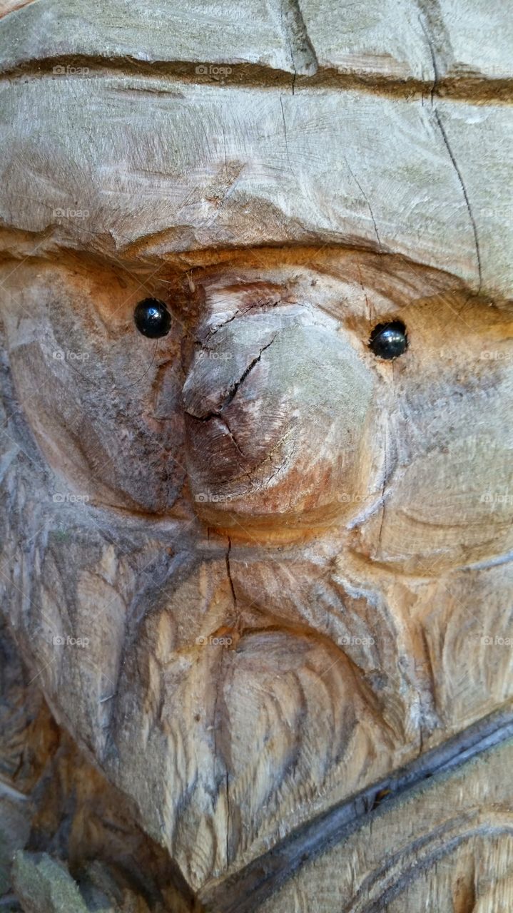 Wooden Troll