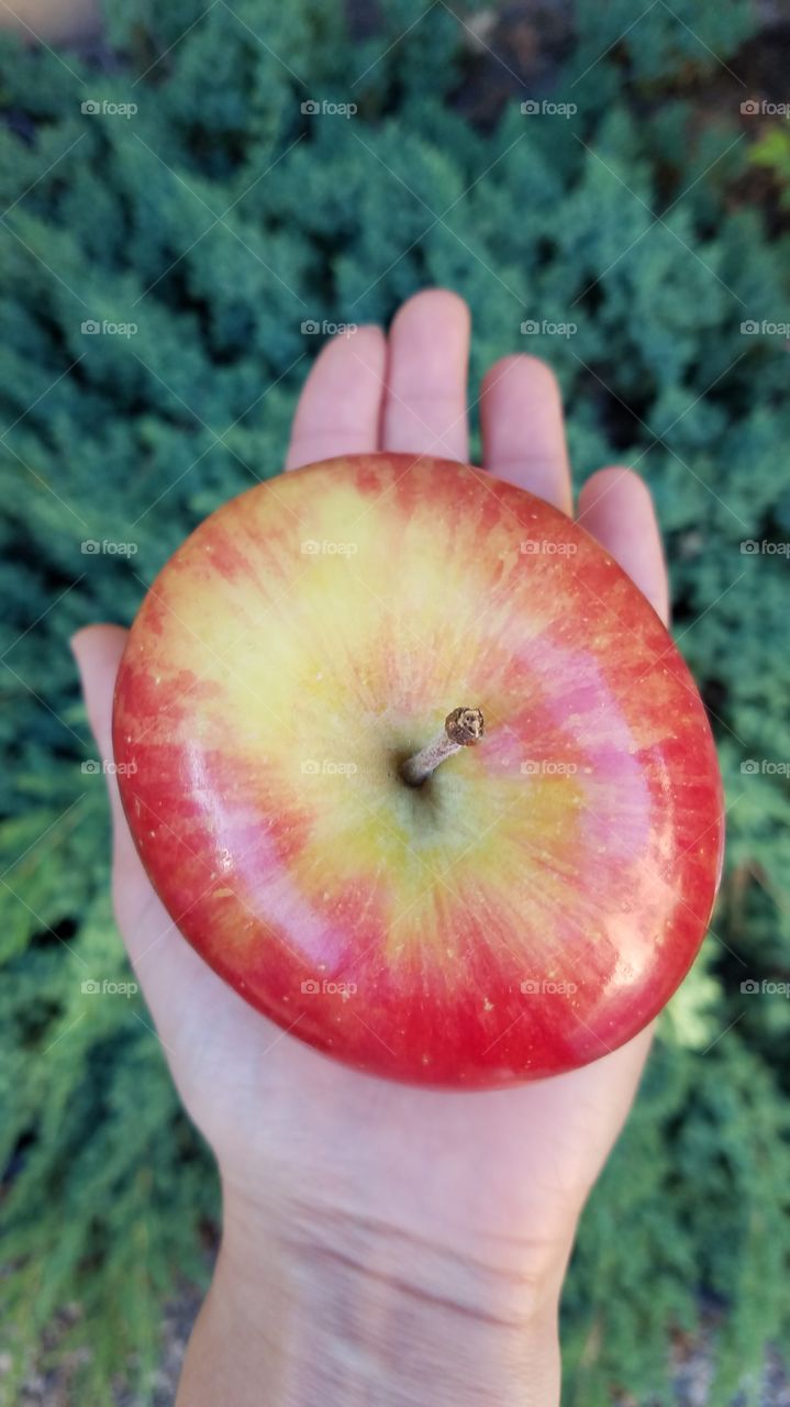 Holding the red apple