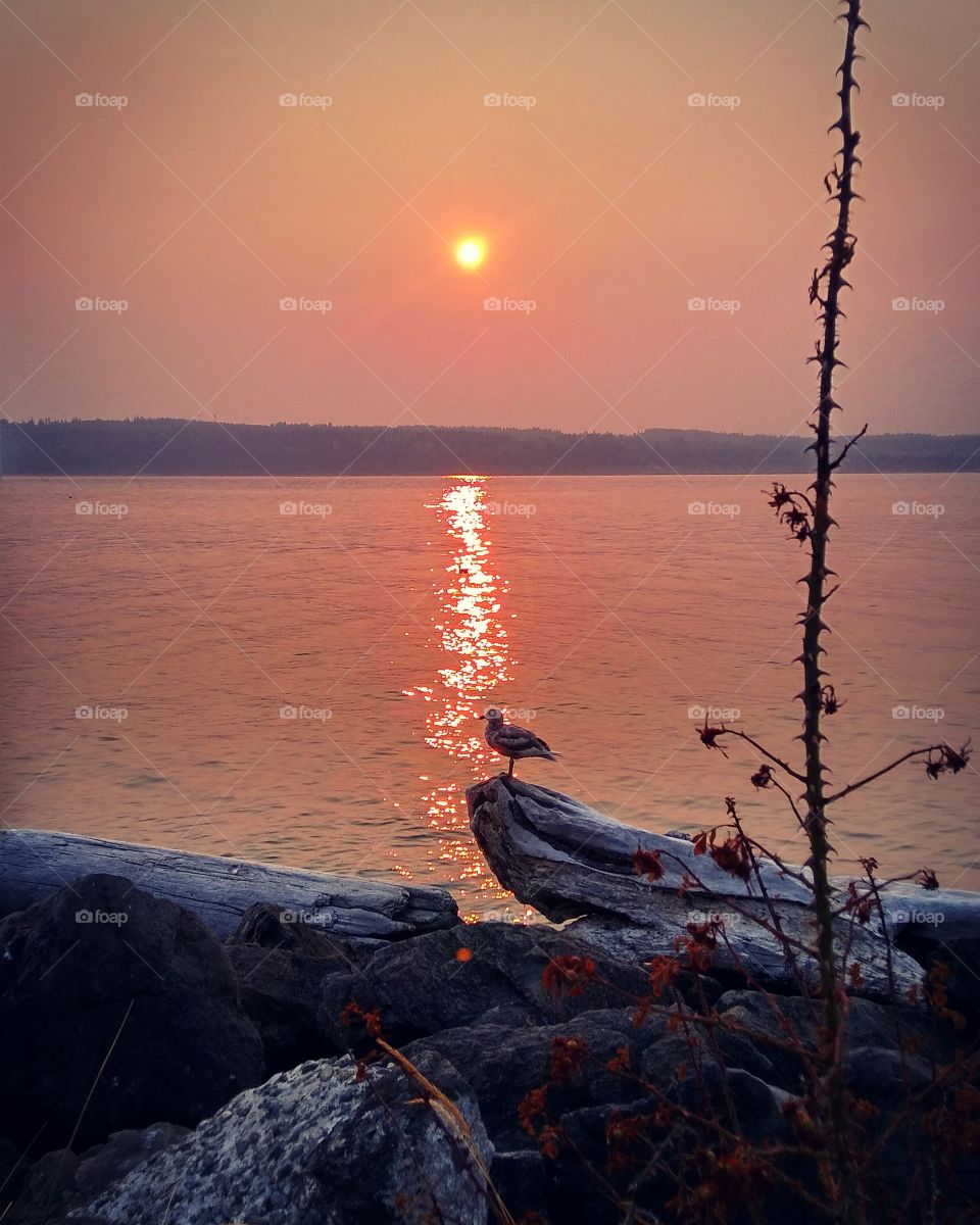 Sunset in Everett Washington