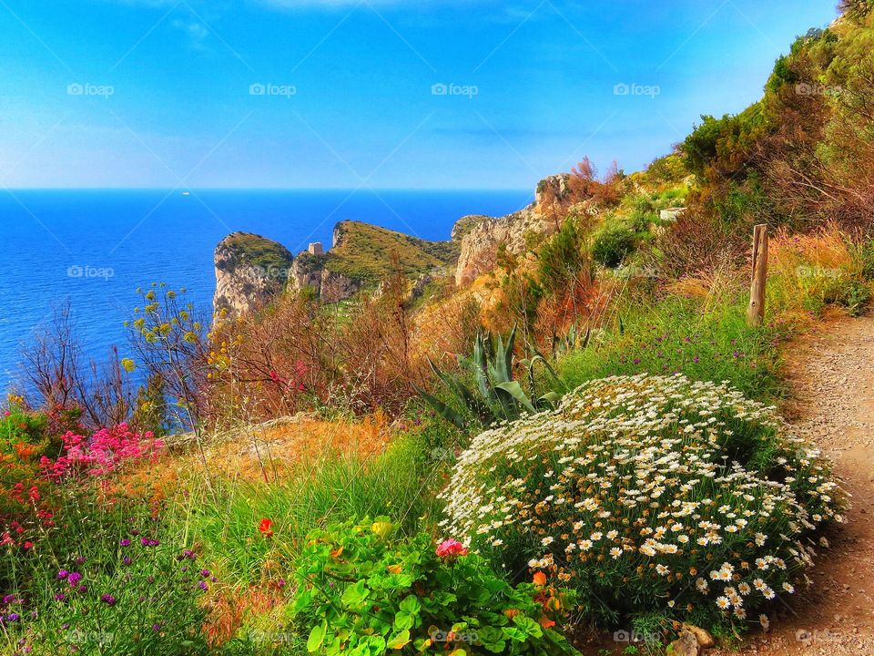 Hiking on the Sorrento Peninsula - Springtime