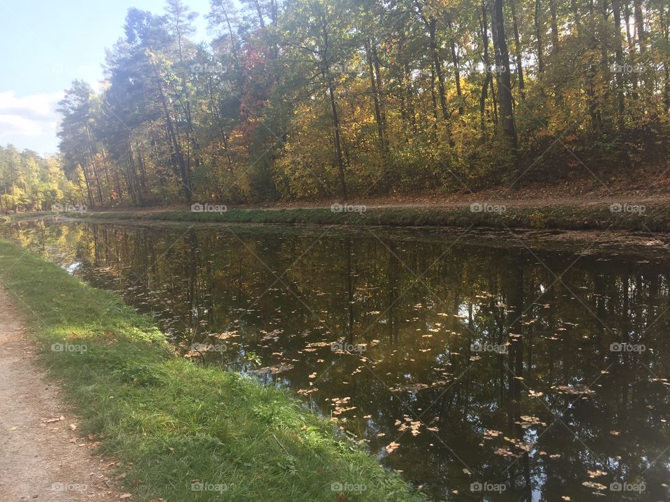 Herbststimmung am Alten Kanal 
