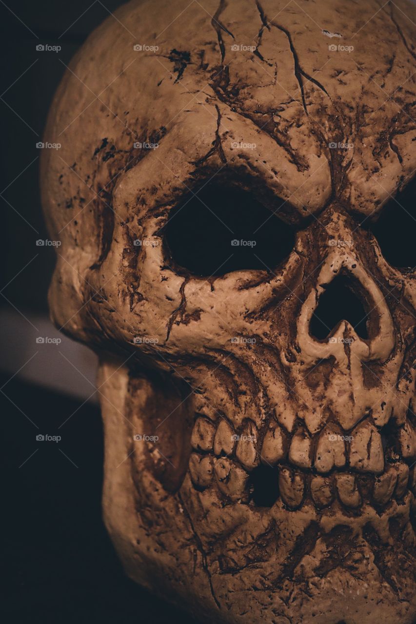 Skull eye sockets, creepy skull, scary skull, beautiful eyes, eyes of the dead, skulls with eyes, Halloween decor