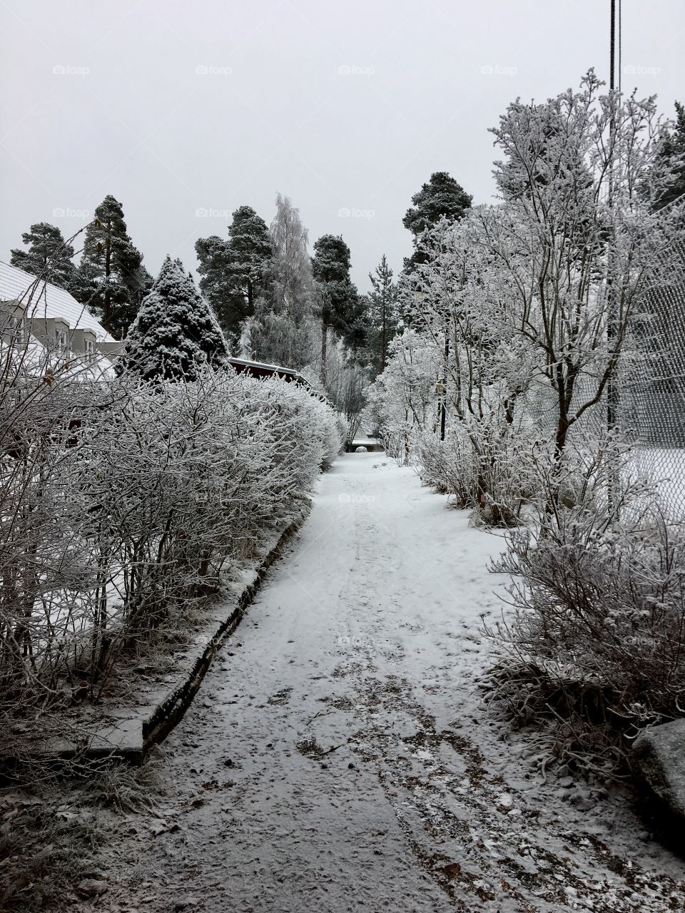 Snowland in Sweden 