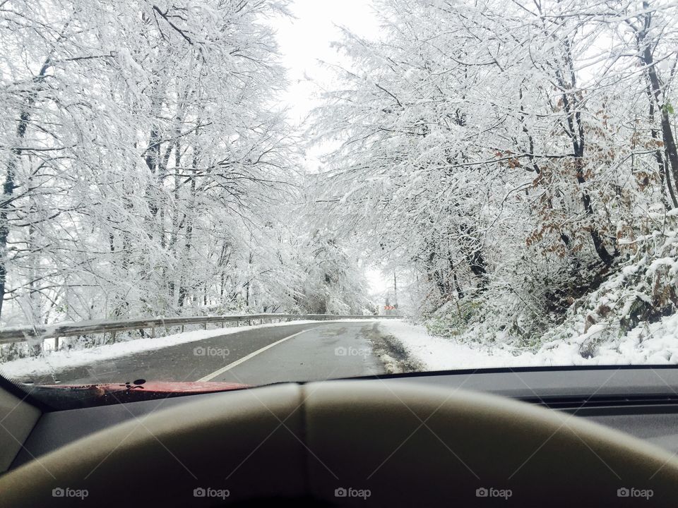 Snow, Winter, Car, Frost, Cold