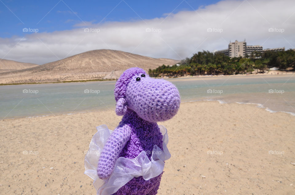 violet sheep on vacation. fuetteventura