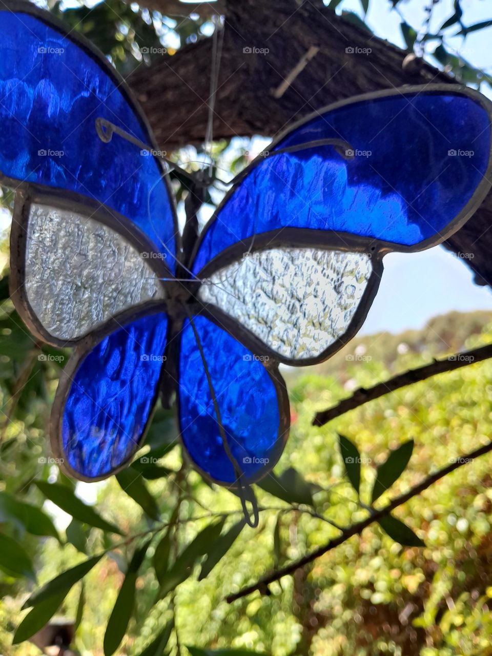 a stained blue and clear butterfly, it's textures and colours revealed and changed by the light in the garden.