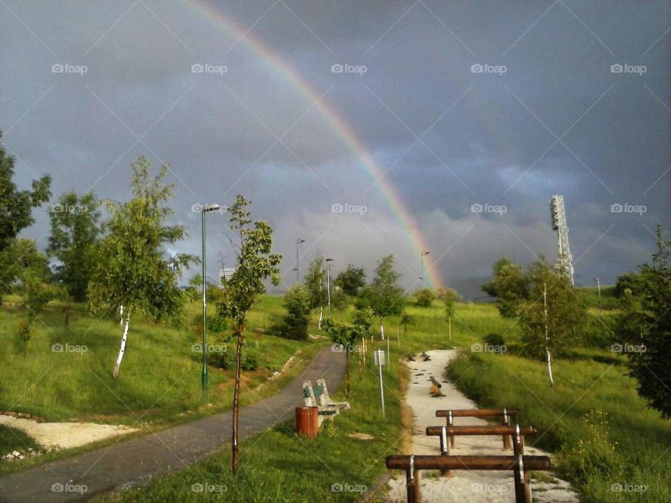 Walk with a Rainbow