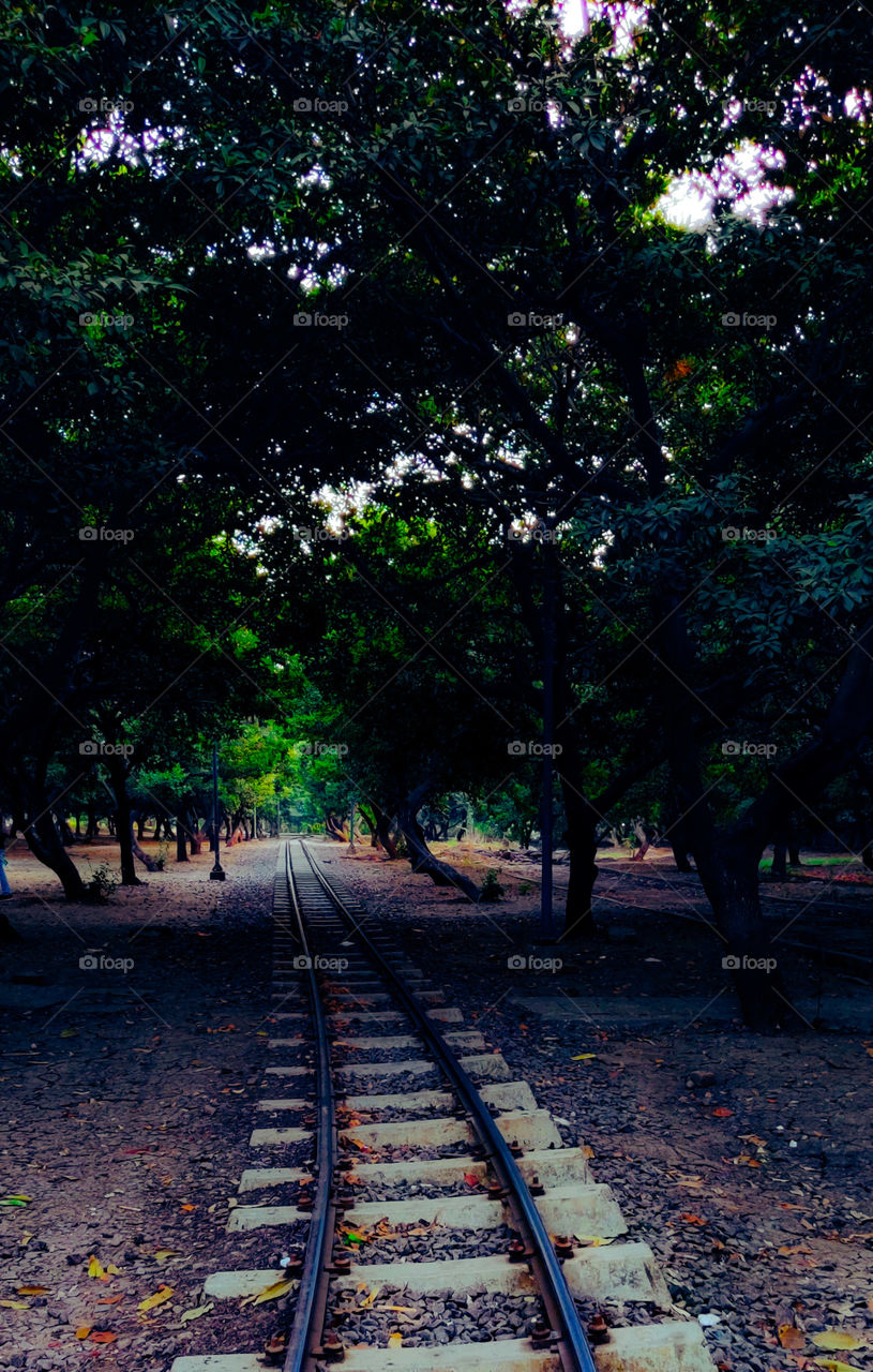 sneh botanical garden, surat