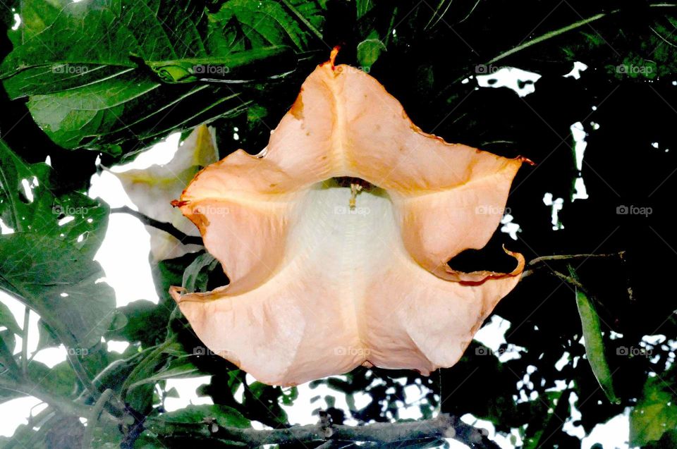 --From the other side....