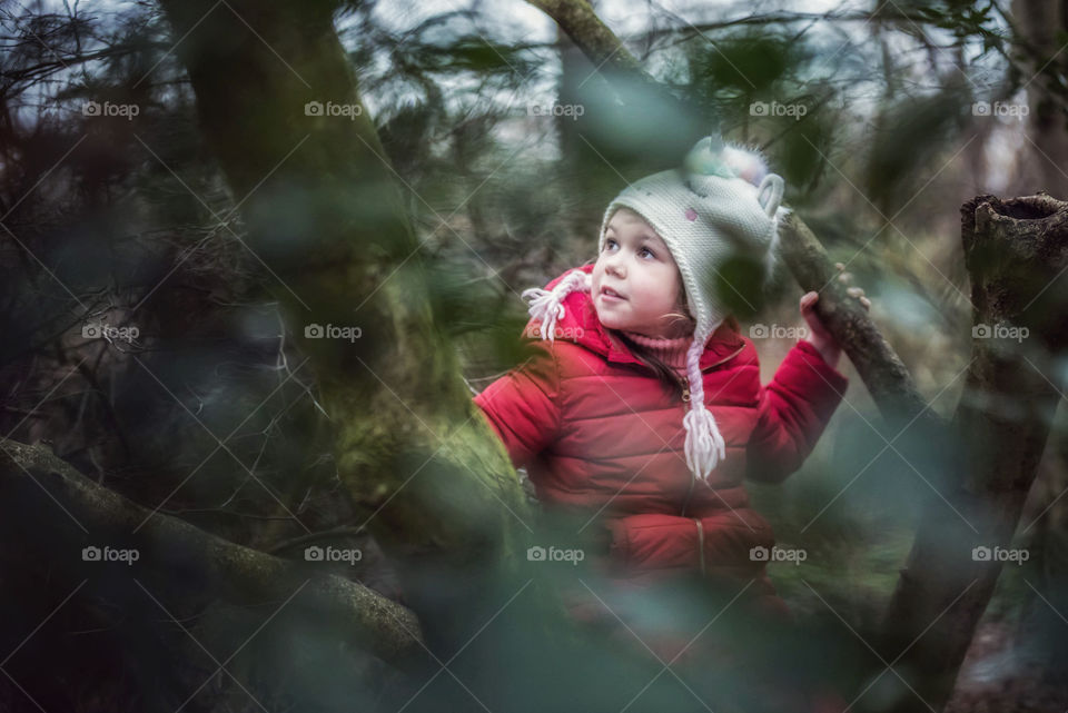 Climbing trees 