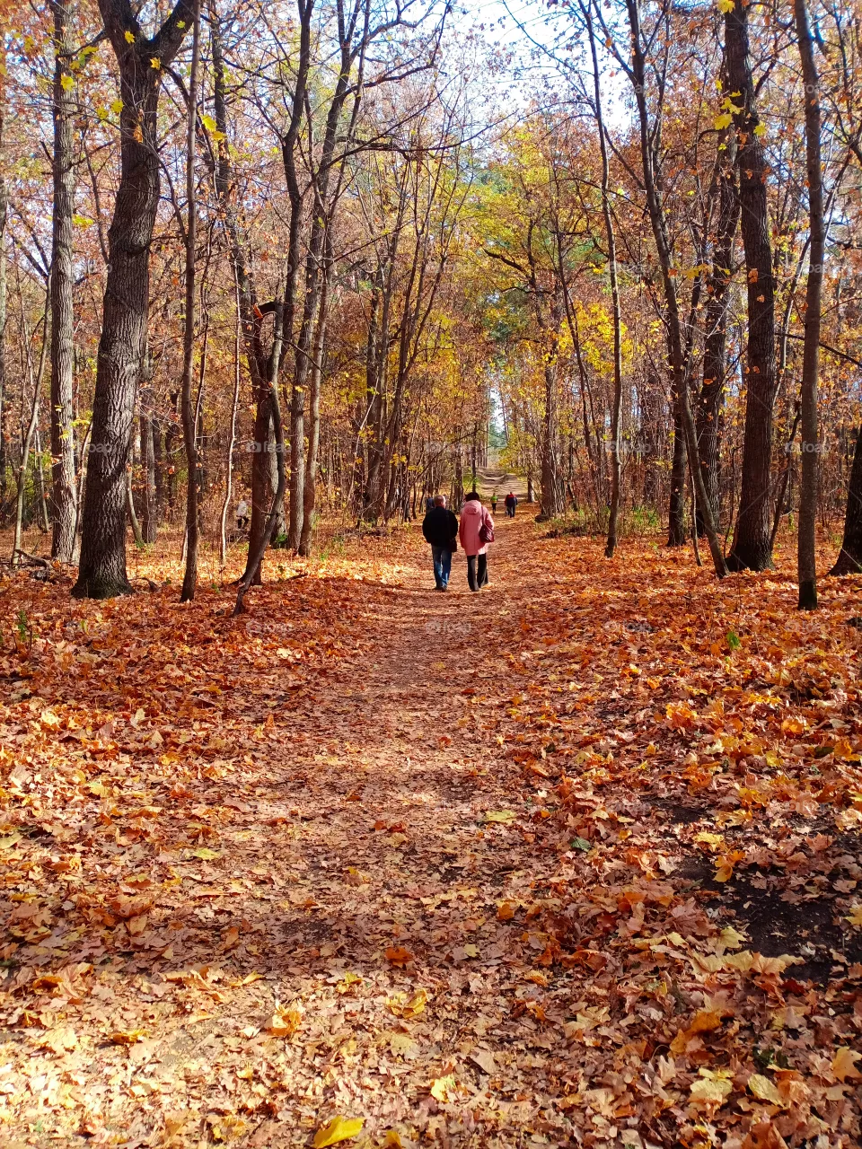 Autumn