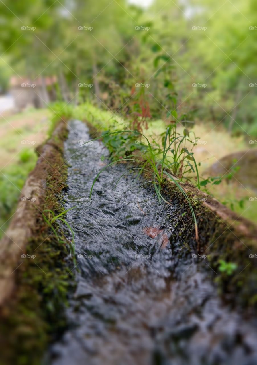 Caminho. Old tree trunk carrying water to a water mill