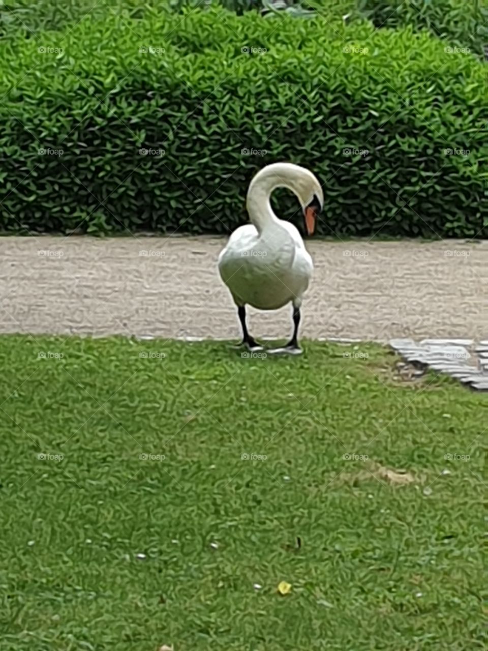 Palmengarten Frankfurt