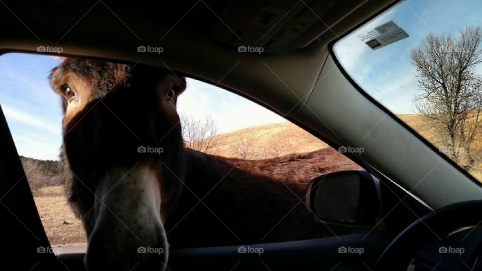 Just stopped by to say Hello